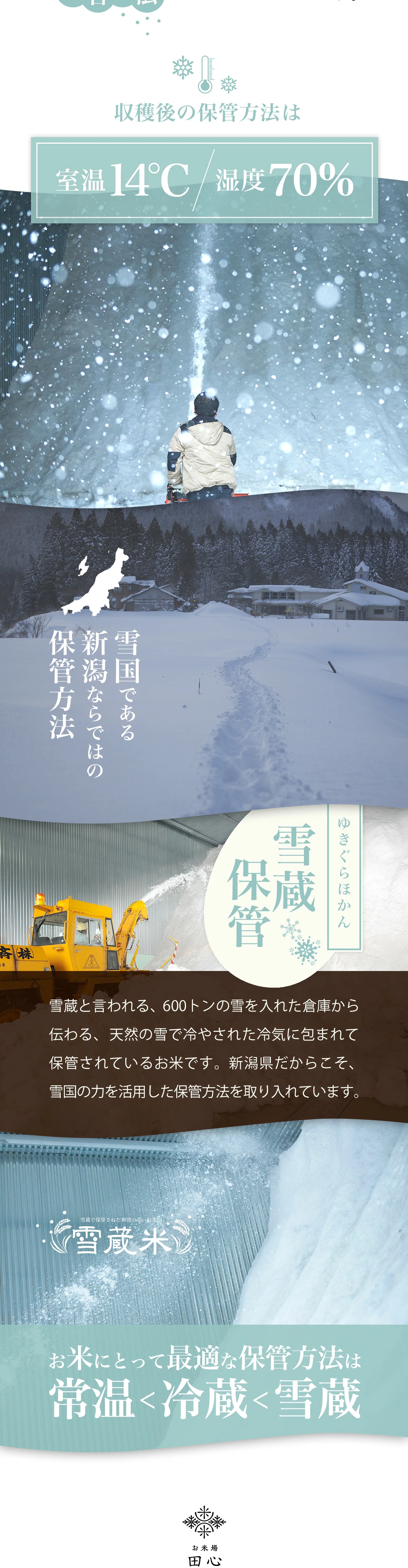 ちゅらひかり