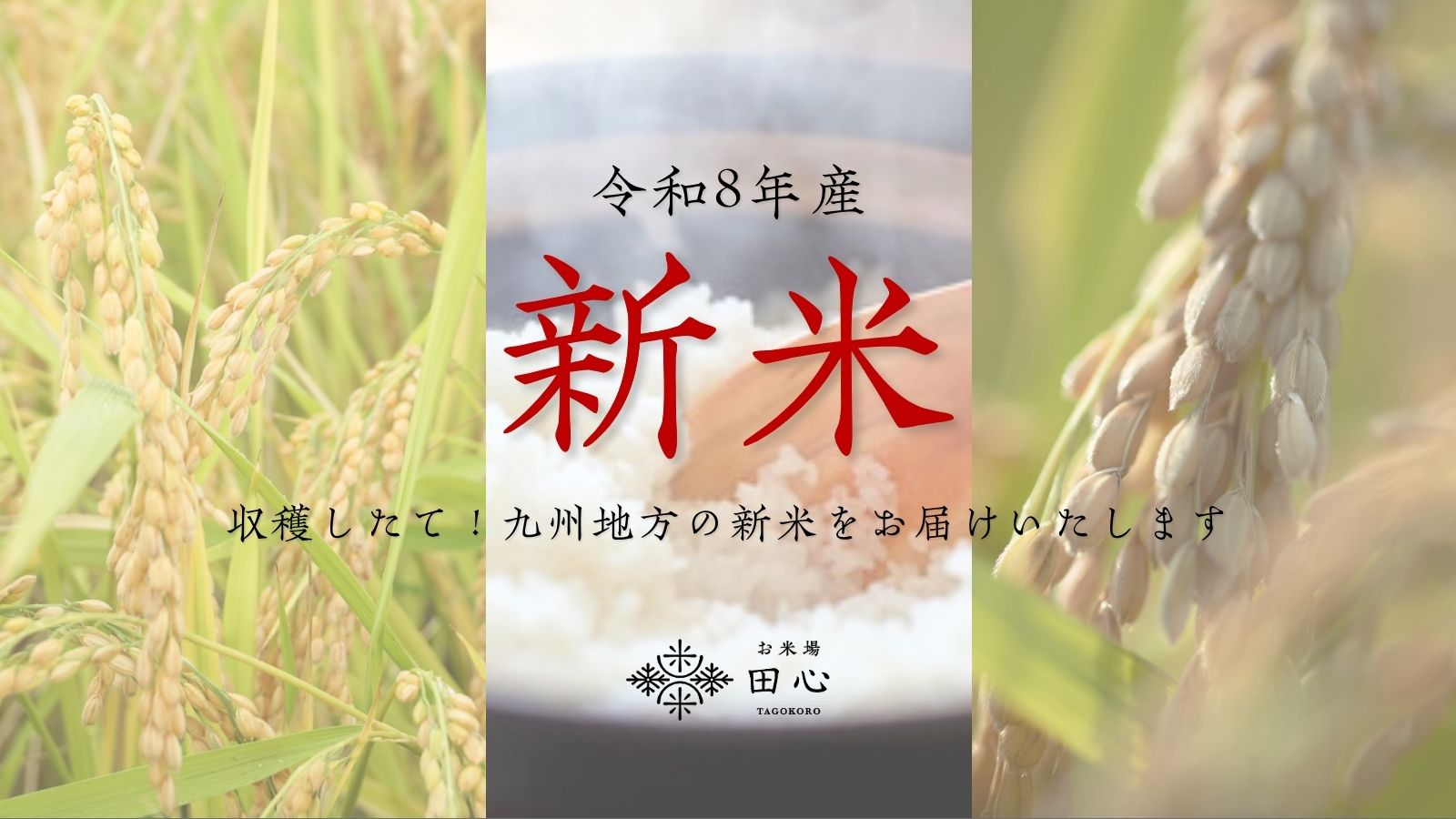 令和8年産新米