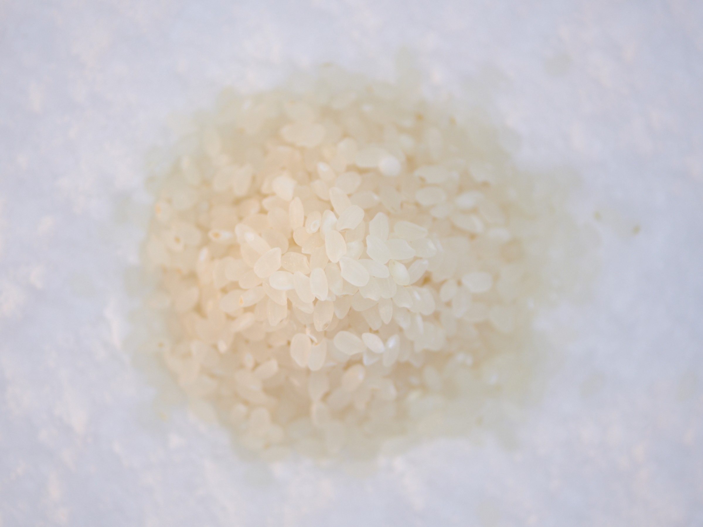 雪蔵内部の保管環境