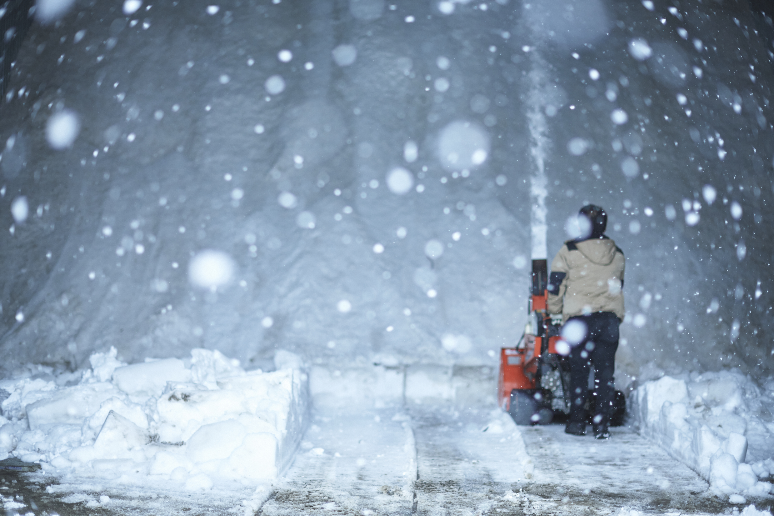 数量限定｜岐阜県高山産 みどり豊 特別栽培 お米 米 精米 白米｜令和7
