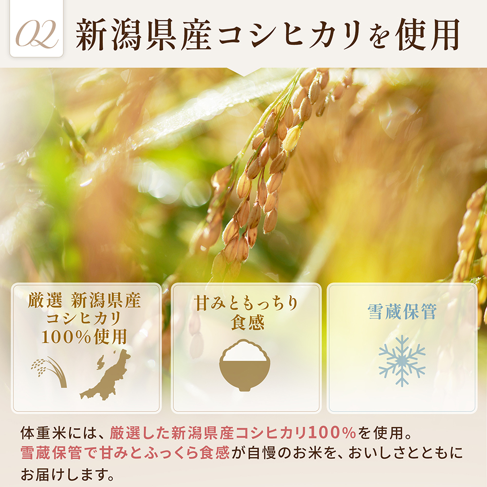 新潟県産コシヒカリ
