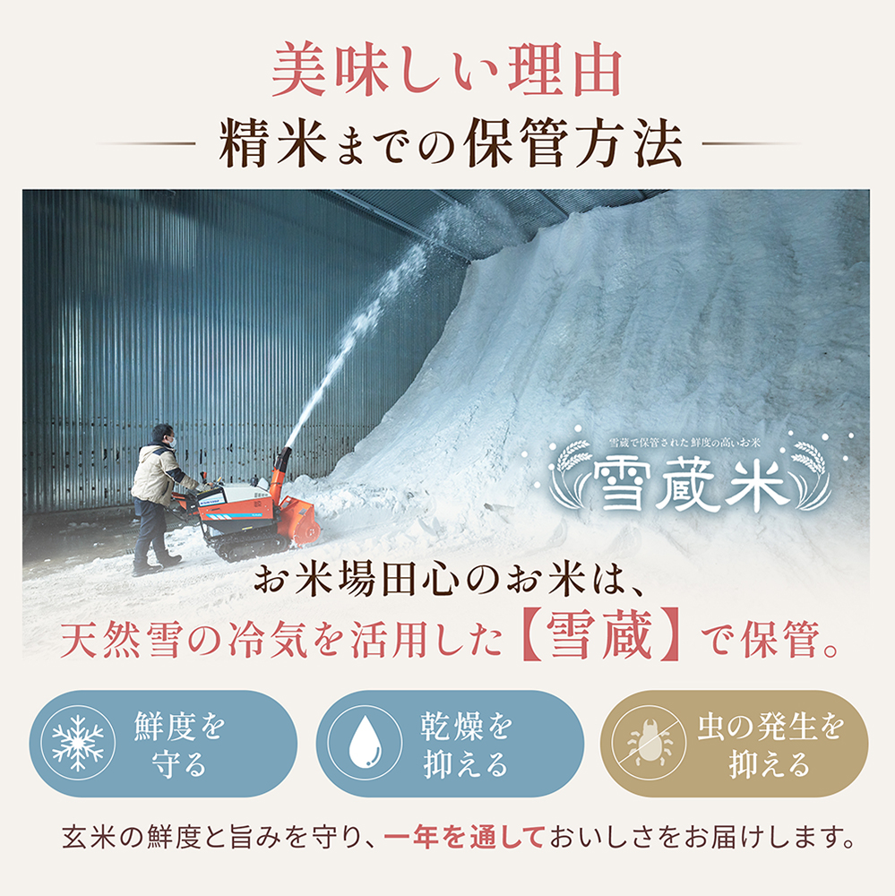 雪蔵米