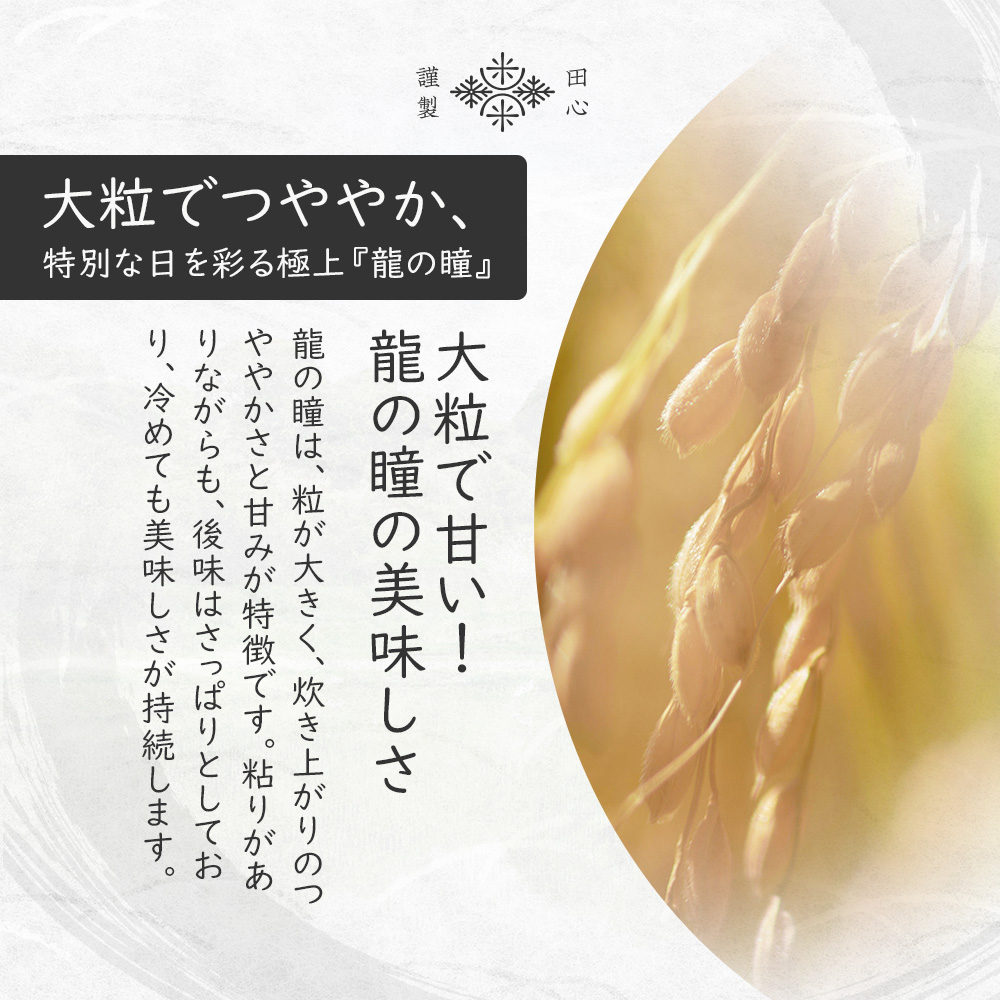龍の瞳 5kg ≪送料無料≫新米 令和7年度産 龍の瞳 岐阜県産 100％ 5kg袋 (りゅうの