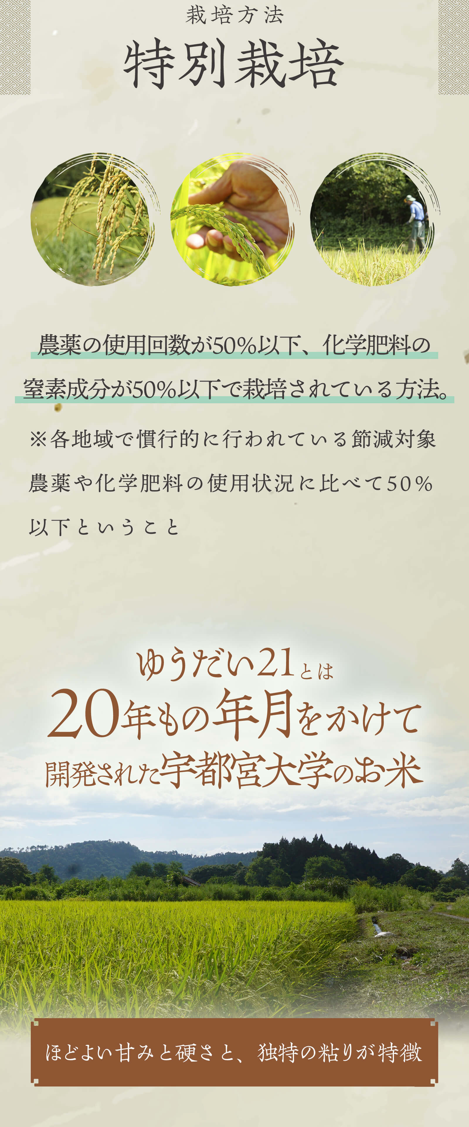 ゆうだい21