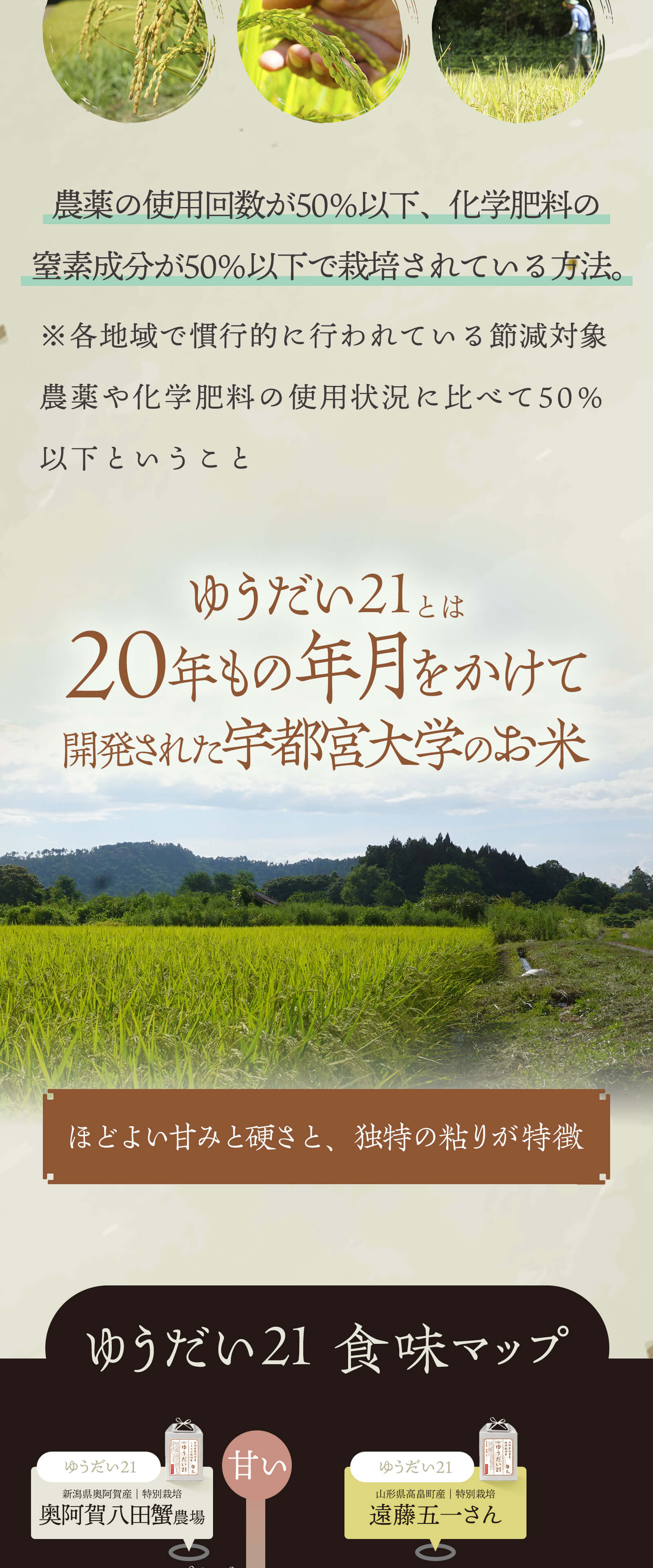 ゆうだい21