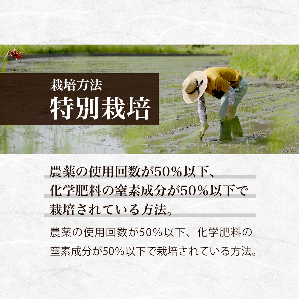 a*a様 て*ぃ様 福島県産コシヒカリ　令和4年 Amazon.co.jp: 無洗米！令和6年産福島県中通り産コシヒカリ10kg