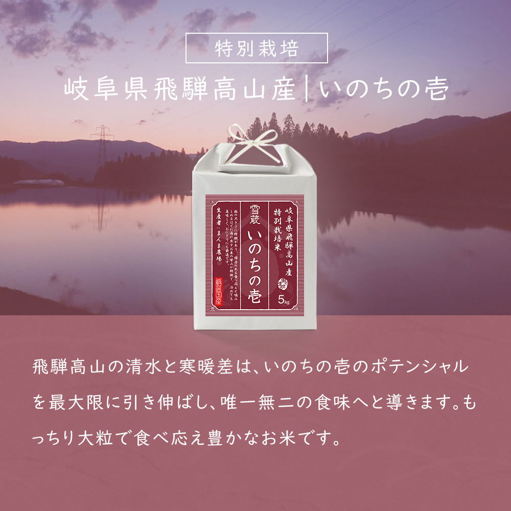幻のお米 令和7年度『いのちの壱』　岐阜県産　新米 　白米 １０kg　送料無料 令和7年産 お米 いのちの壱 5kg 岐阜県 飛騨高山 特別栽培 お米 米