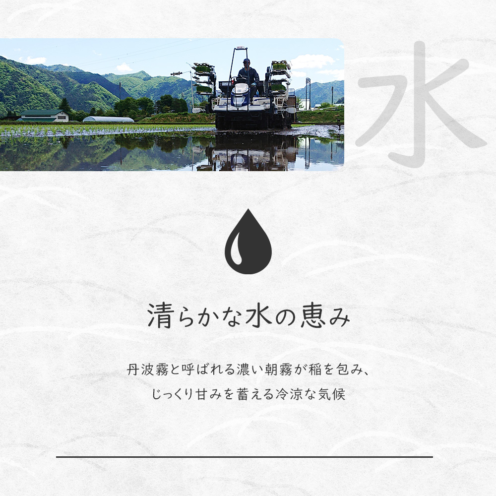 令和7年産 お米 いのちの壱 5kg 岐阜県 飛騨高山 特別栽培 お米 米
