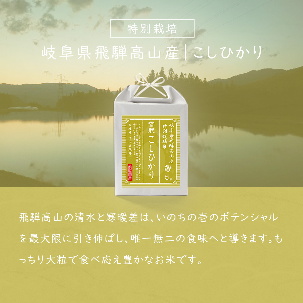 令和7年産 お米 こしひかり 5kg 岐阜県 飛騨高山 特別栽培 お米 米