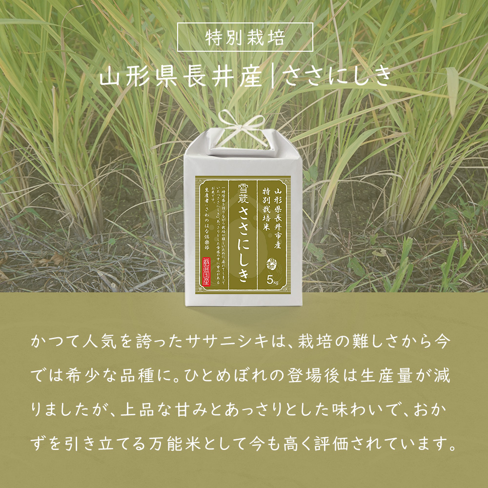新米 令和7年産 山形県産 ササニシキ ささにしき 特別栽培米 5kg お米 新米 令和7年産 山形県産 ササニシキ ささにしき 特別栽培米 5kg お米