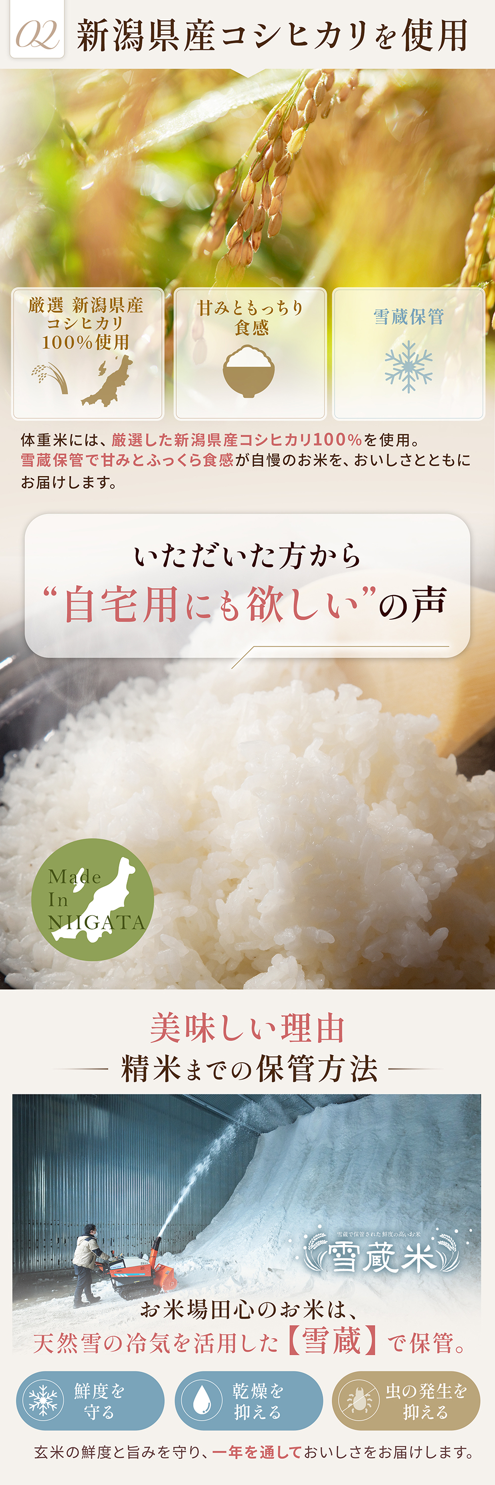新潟県産コシヒカリ 雪蔵米