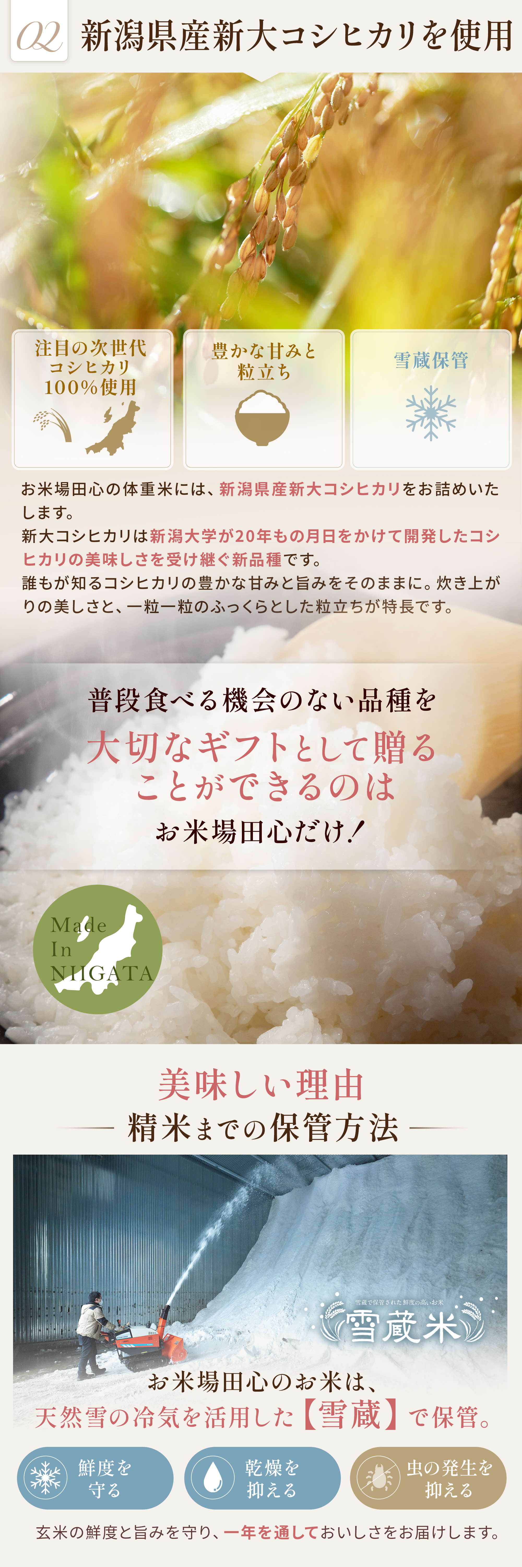 新潟県産コシヒカリ　雪蔵米