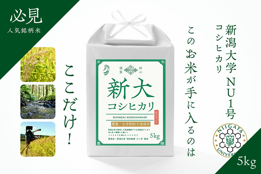 新大 無無