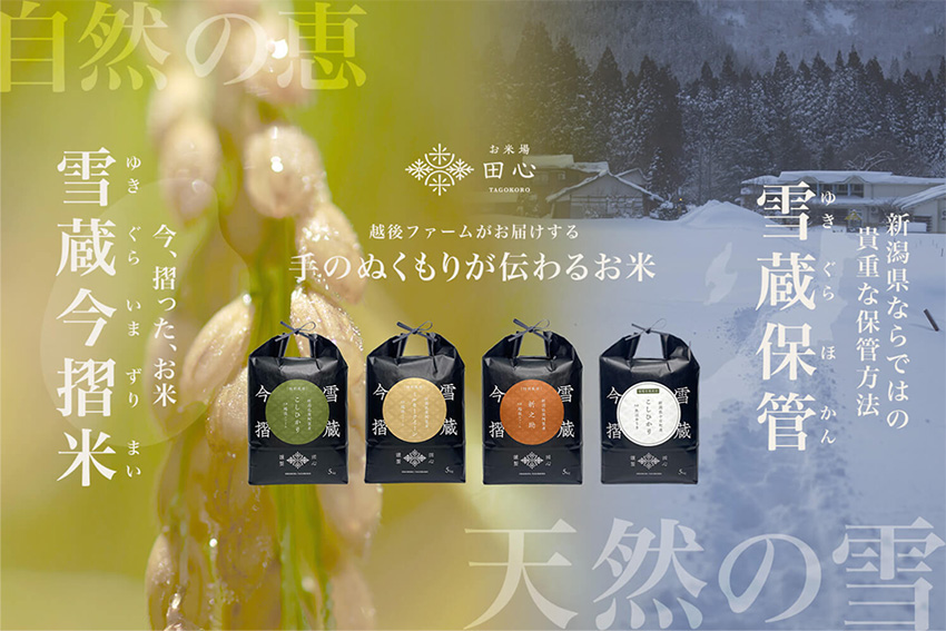 雪蔵今摺米