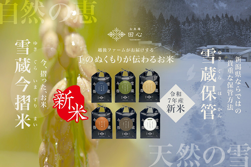 雪蔵今摺米