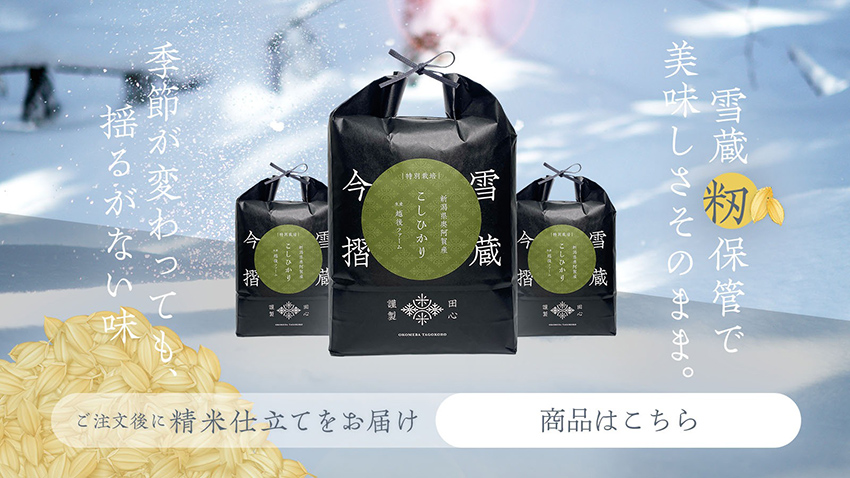 雪蔵今摺米