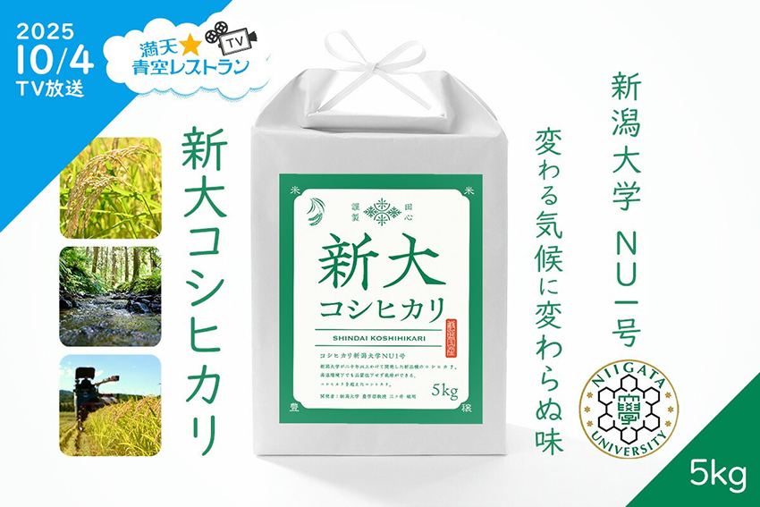 新大コシヒカリ