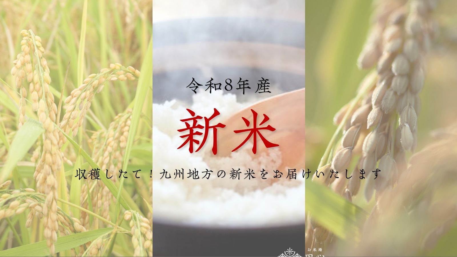 新米 令和8年産