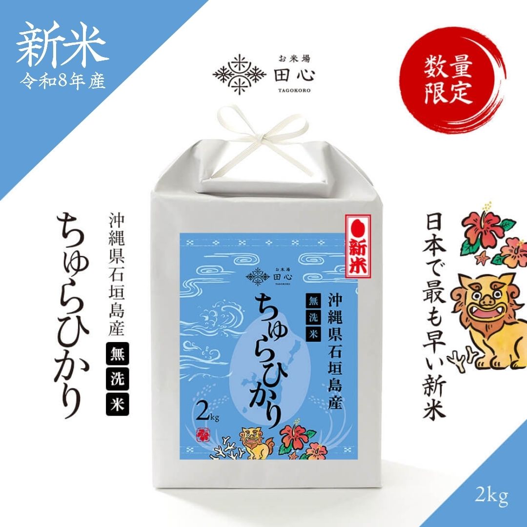 新米令和8年産沖縄県石垣島産ちゅらひかり