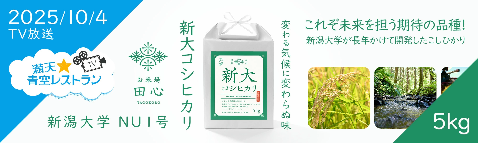 新大コシヒカリ】新潟大学が開発したお米