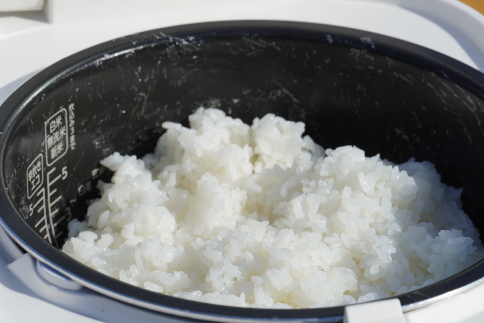 新大コシヒカリ炊き上がり