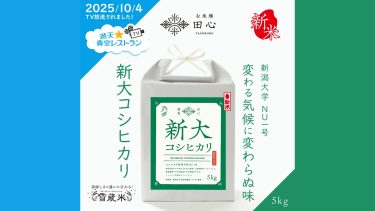 [お米場田心]新大コシヒカリ令和７年産｜満天☆青空レストラン放送