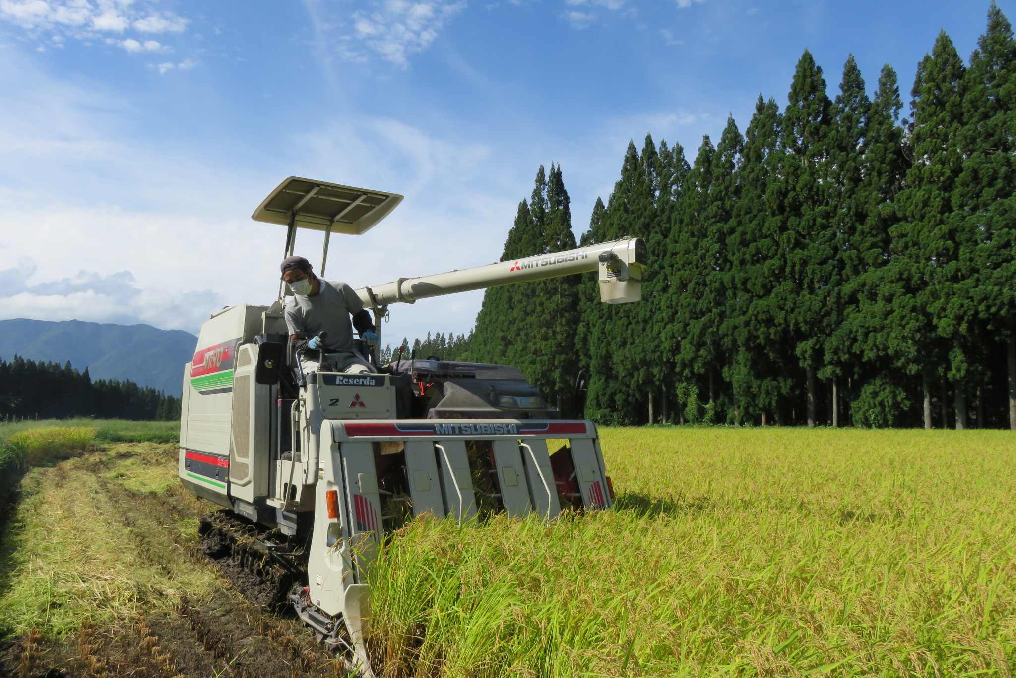 生産者店頭来店イベント：まんま農場