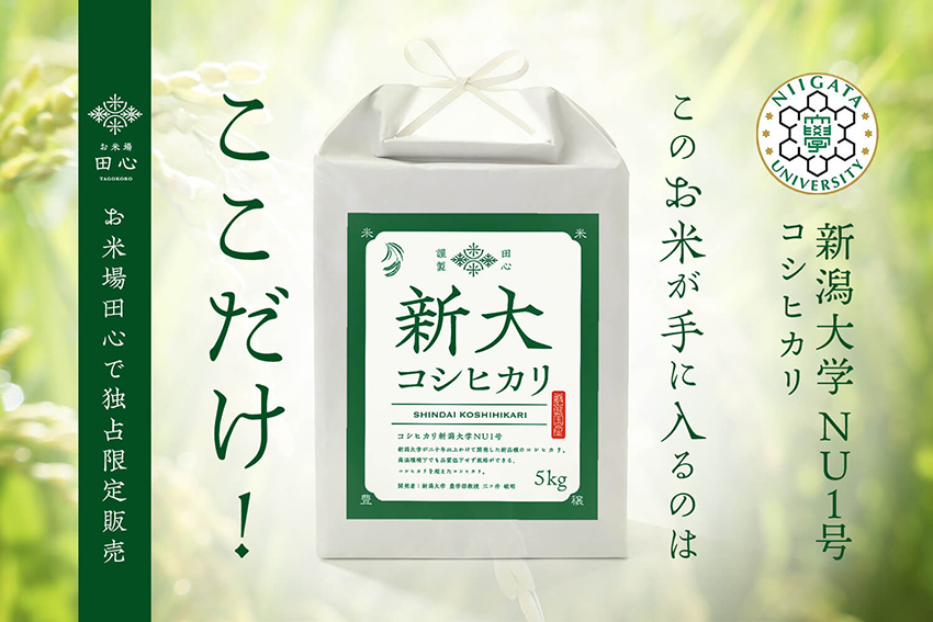令和5年産 愛媛県産コシヒカリ（玄米）29kg
