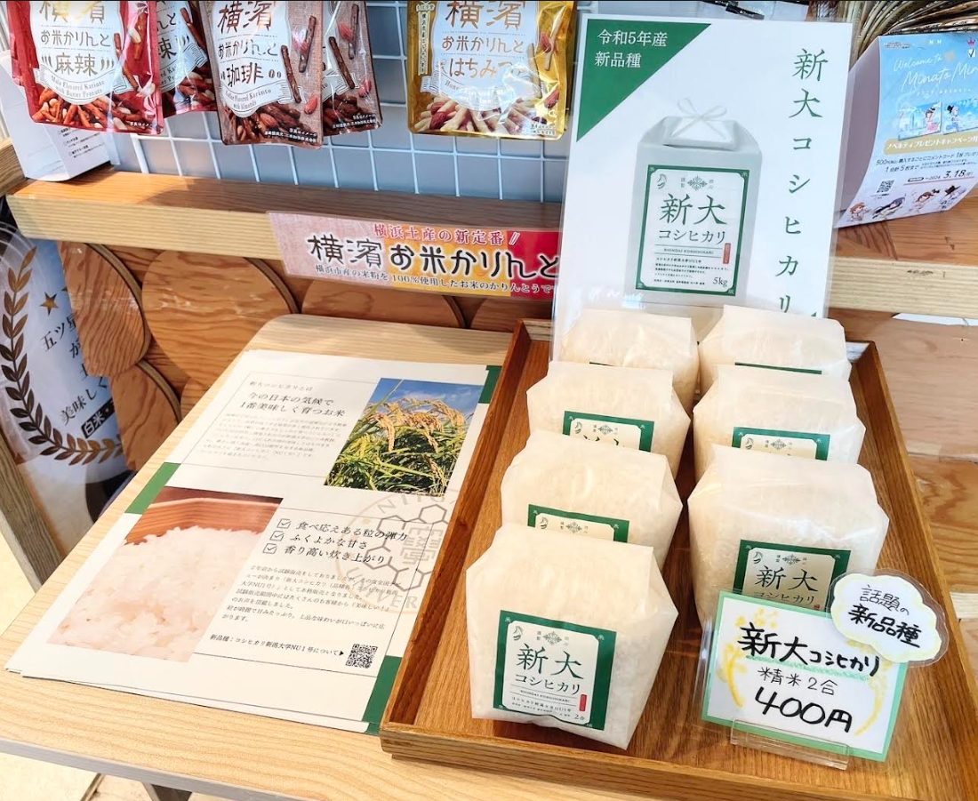 新大コシヒカリ2合