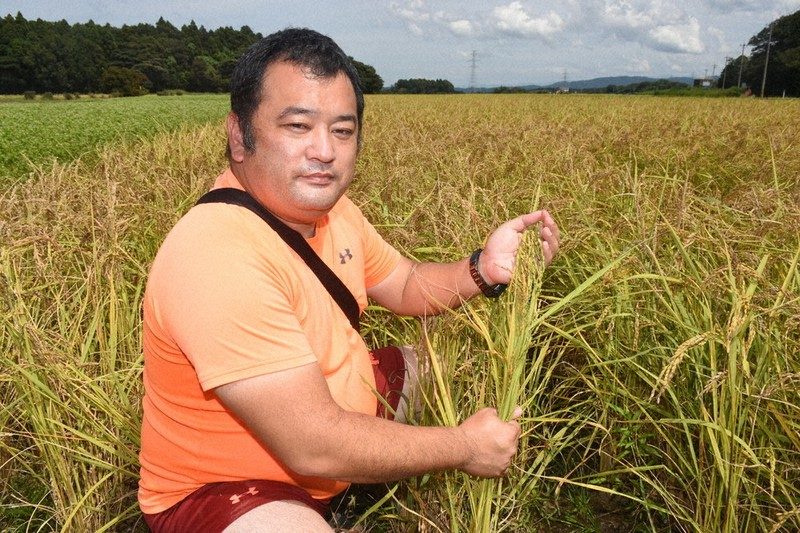 福井県立大学三浦教授