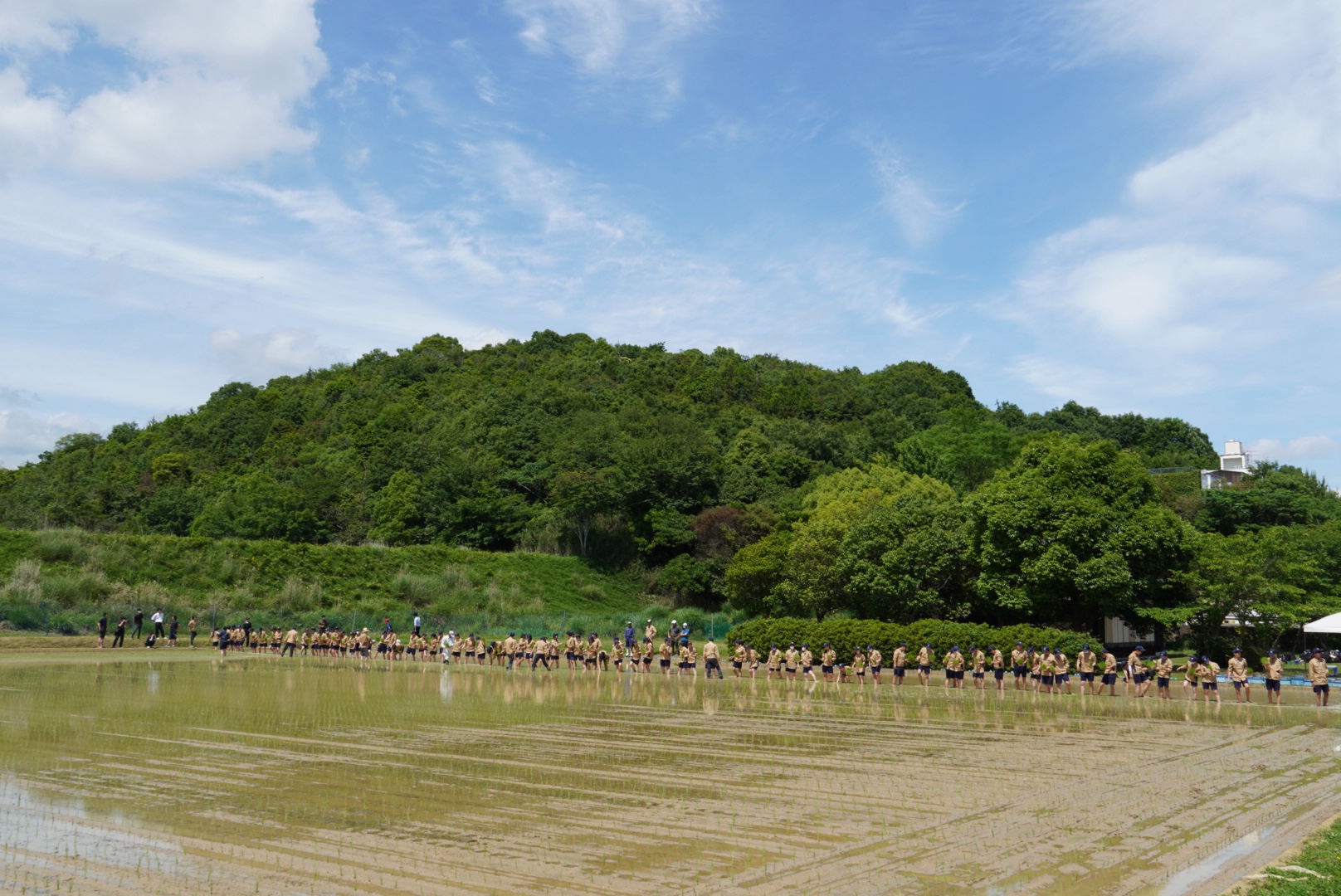 高校生が作るお米播磨農業高等学校