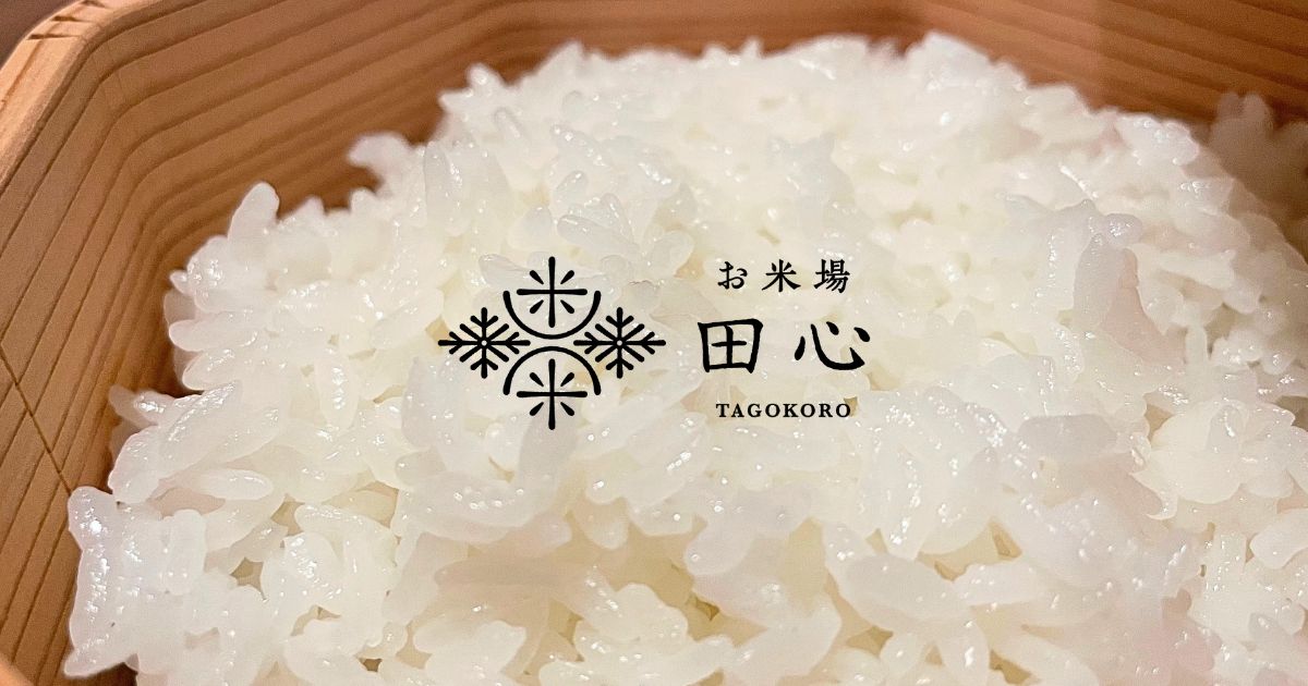 お米ギフト